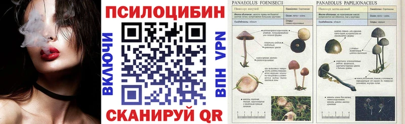 Галлюциногенные грибы Psilocybine cubensis  наркошоп  Первоуральск 